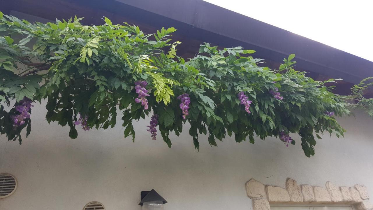 Casa Yami Hotel Padova Kültér fotó